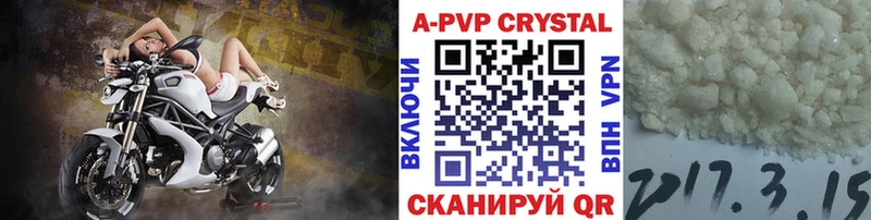 OMG вход  Новоаннинский  А ПВП СК 