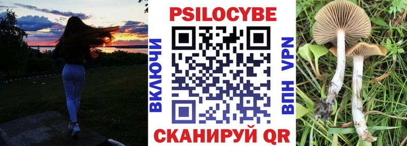 Галлюциногенные грибы ЛСД  Новоаннинский 